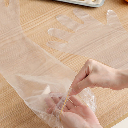 skorter | Disposable Gloves