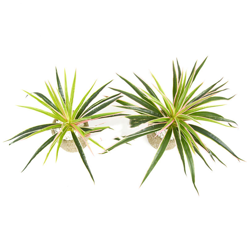 Skorter | Artificial Grass Plant – Decorative Plant for Home and Office
