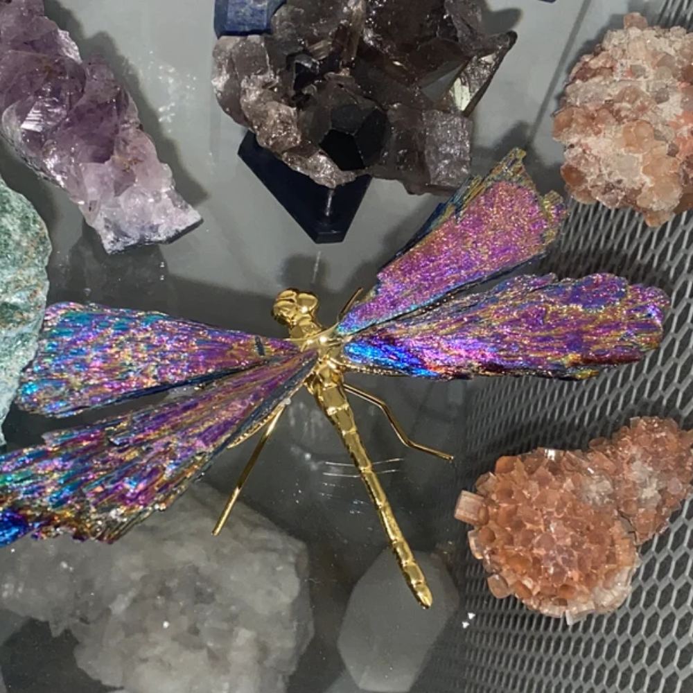 Skorter | Aurora Dragonfly Charm