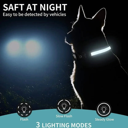 Skorter | Dog Collars – Waterproof LED Light Up Dog Collar with USB Rechargeable Glow, Dog Collars Illuminated for Night Safety, All Sizes