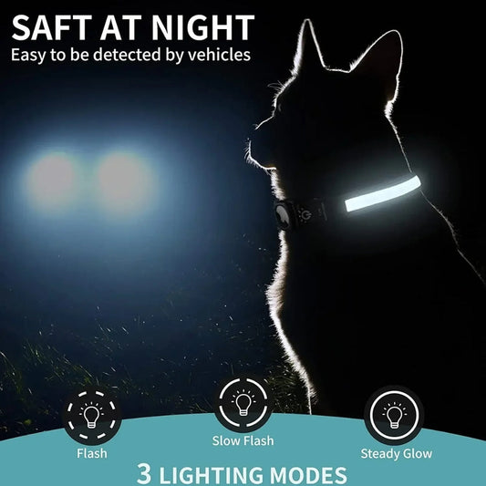 Skorter | Dog Collars – Waterproof LED Light Up Dog Collar with USB Rechargeable Glow, Dog Collars Illuminated for Night Safety, All Sizes
