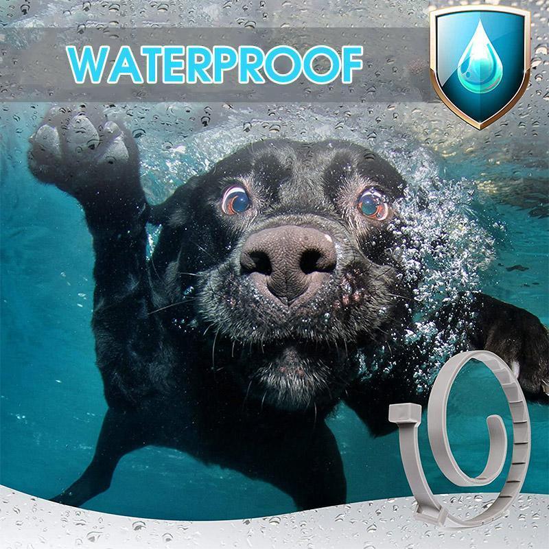 Skorter | Adjustable Insect Defense Collar for Pets