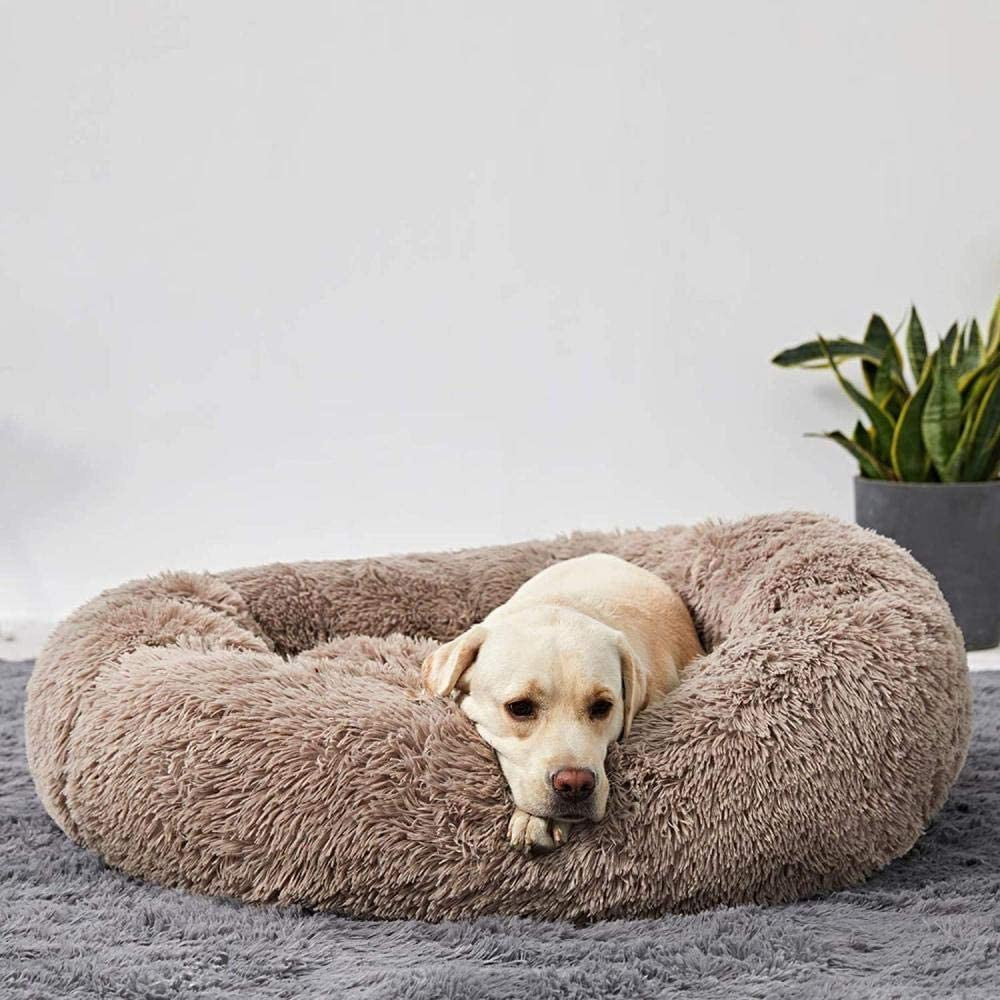Skorter | Calming Dog Bed