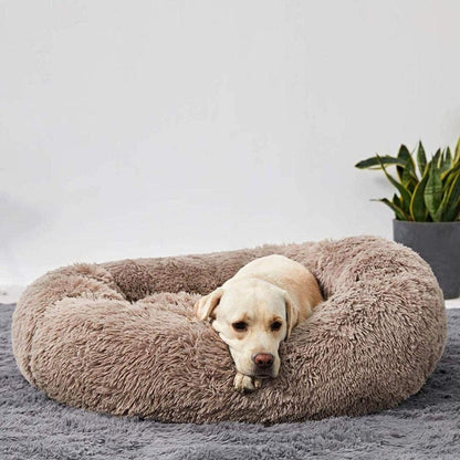 Skorter | Calming Dog Bed