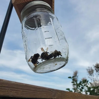 Skorter | Best Carpenter Bee Trap