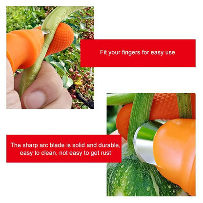 Skorter | (50% Off Today) Harvest vegetables, harvest fruits thumb measure