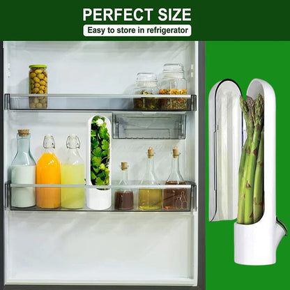 Skorter | Herb Fresh Holder