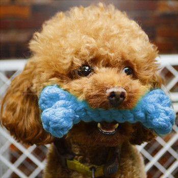 Skorter | 5 Pcs Pet Cotton Rope Chew Toy Legs