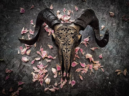 Skorter | Carved Ram Skull