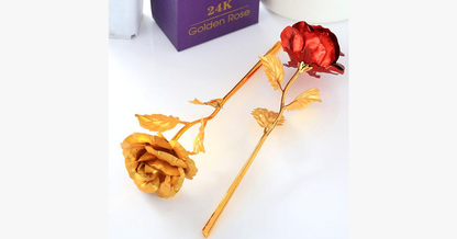 Skorter | 24K Always Gold Plated Rose - Various Colors