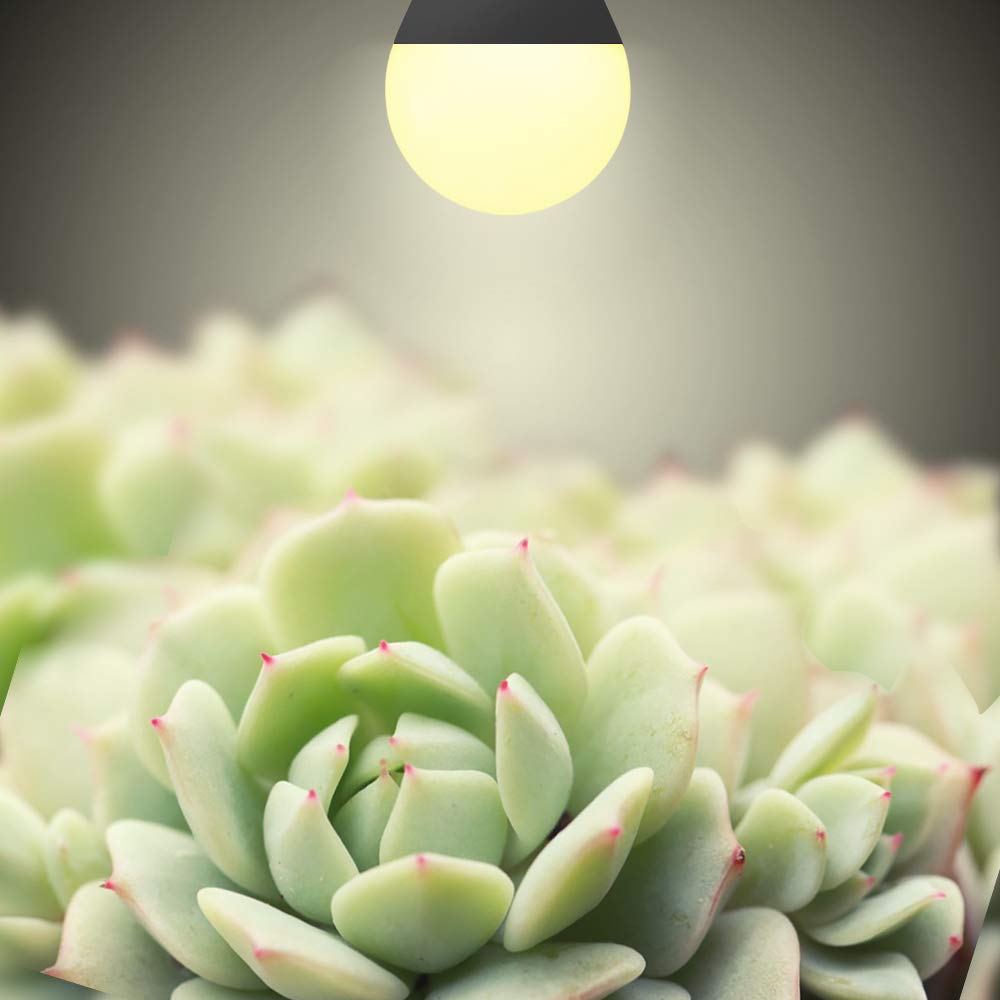 Skorter | Mfxmf 6 Pack Full Spectrum Led Grow Light Bulbs, 9W E26 Replace 100W For Indoor Plants