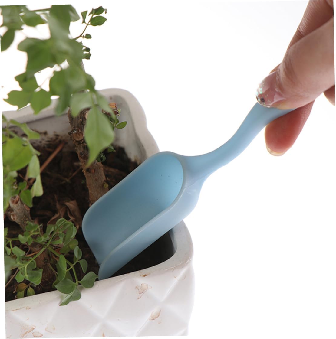 Skorter | Combination set for succulent planting tools – Practical set for care and planting