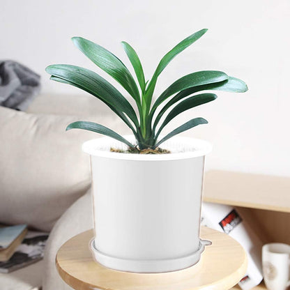 Skorter | Breathable Root Control Pot for Plants – Ideal for Healthy Growth and Optimal Aeration