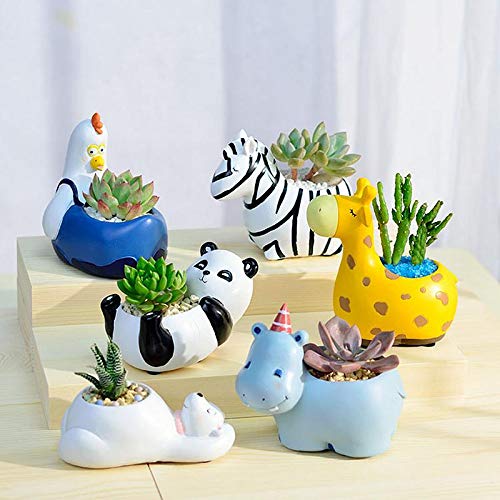 Skorter | Animal Plant Pots – Funny Animal Designs for Succulents and Cacti