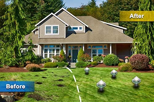 Skorter | Solar-powered animal repeller for garden and yard – Environmentally friendly protection against mice and rodents