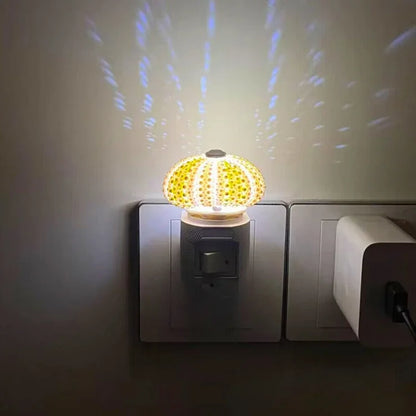 Skorter | LumiCraft – Unique DIY table lamp with natural sea shell for a cozy décor