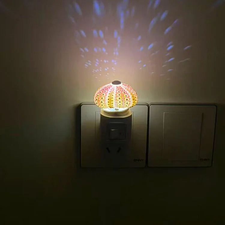 Skorter | LumiCraft – Unique DIY table lamp with natural sea shell for a cozy décor