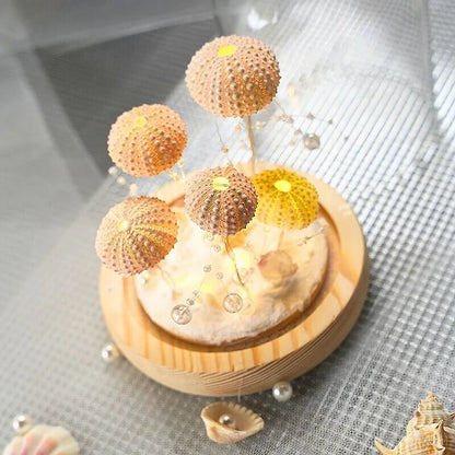 Skorter | LumiCraft – Unique DIY table lamp with natural sea shell for a cozy décor