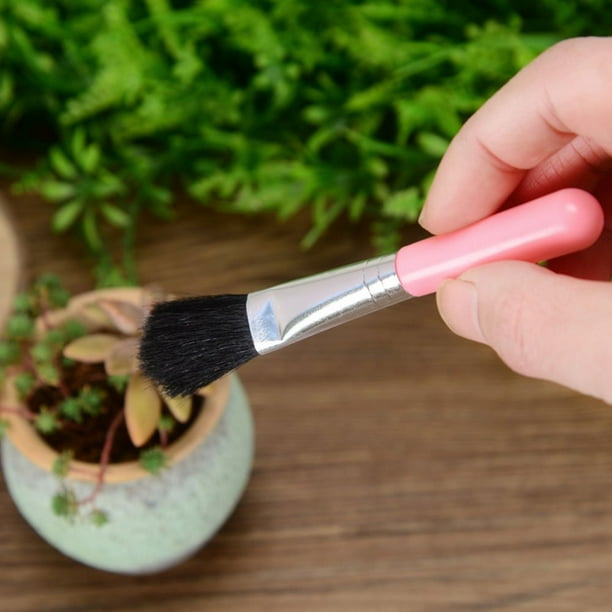 Skorter | Combination set for succulent planting tools – Practical set for care and planting