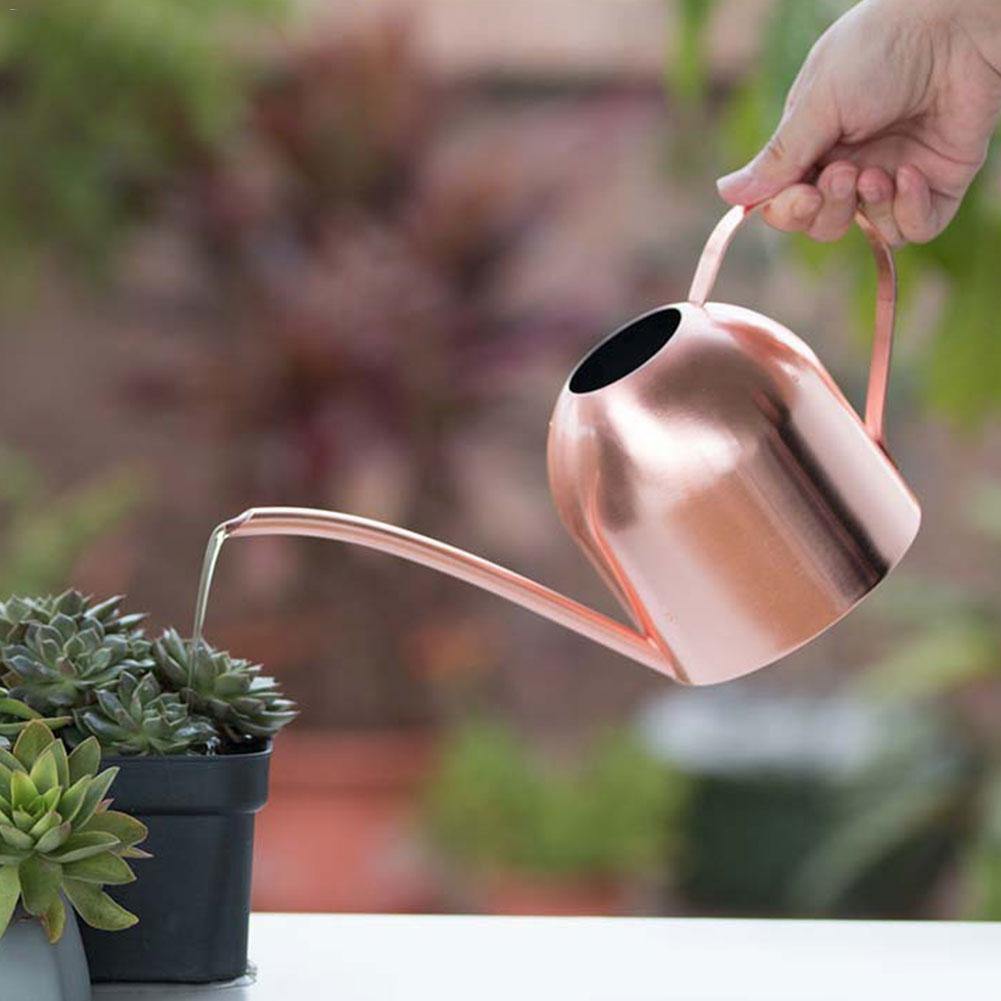 Skorter | AquaGrace Stainless Steel Watering Can with Flexible Neck | Modern Design | Perfect Watering | Rustproof