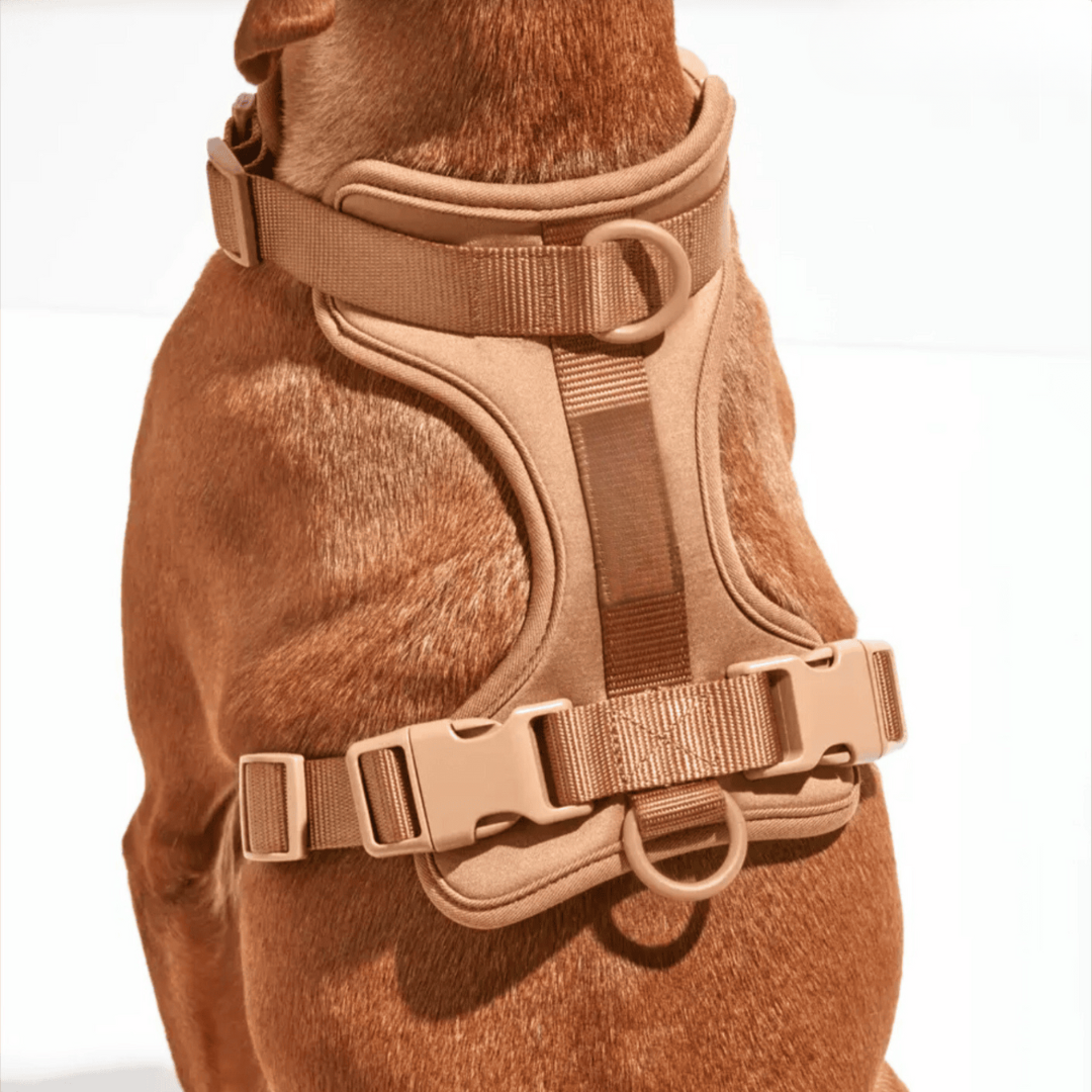 Skorter | ComfyPaws Dog Harness Walking Set with Leash and Poop Bag Holder