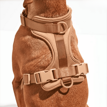 Skorter | ComfyPaws Dog Harness Walking Set with Leash and Poop Bag Holder