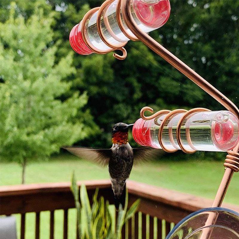 Skorter | Window Hummingbird Feeder