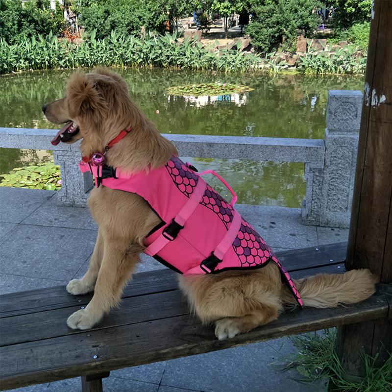 Skorter | Dog Swim Safety Jacket