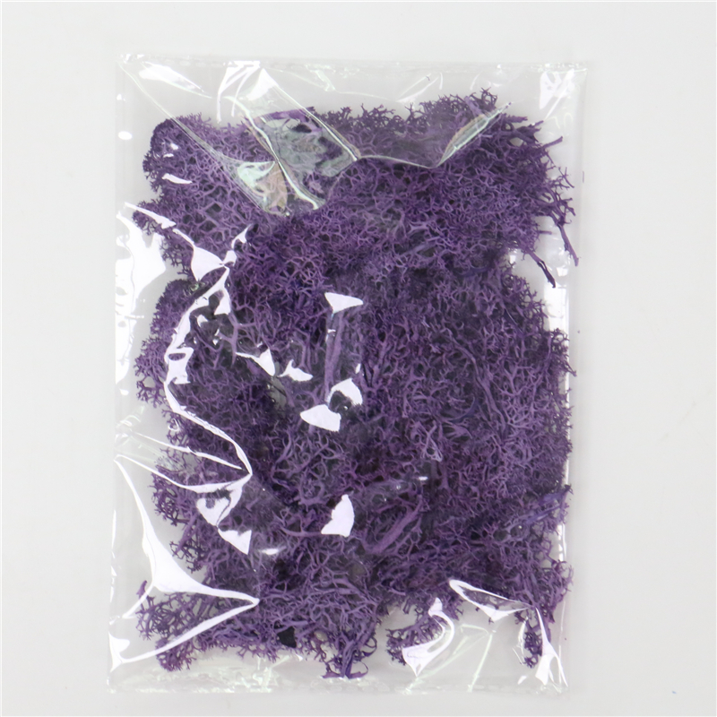 Skorter | Artificial Moss for Landscaping – Moss and Flowers for Decoration and Floristry