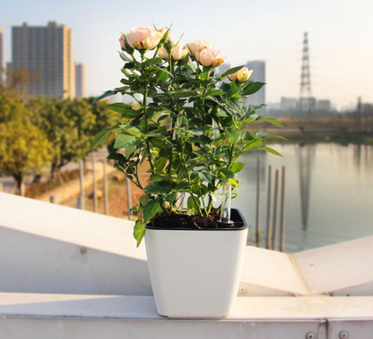 Skorter | Flower pot with irrigation system – Self-watering plant pot for indoor and outdoor use