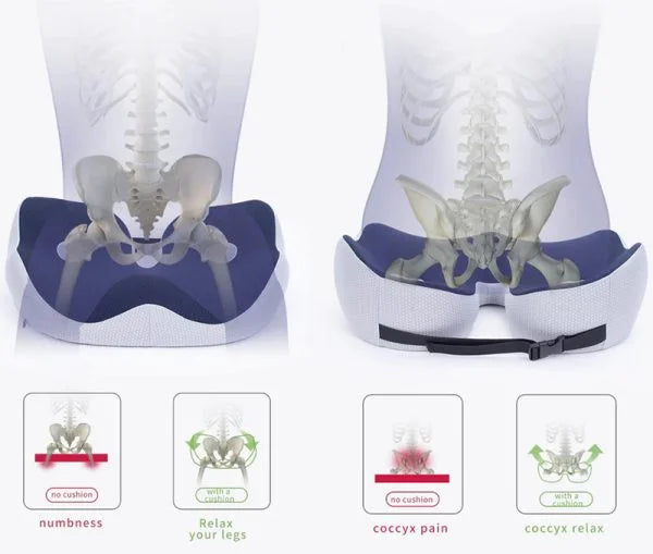 Skorter | Adjustable Memory Foam Seat Cushion for Sit Bone Relief | Ergonomic Design for Office Chair and Car Use