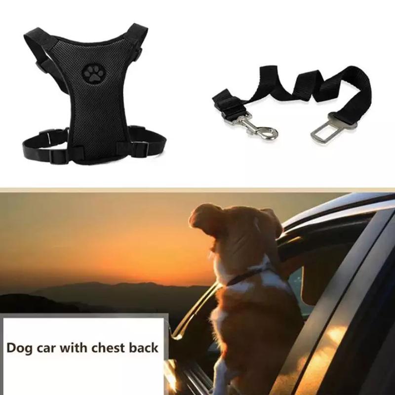 Skorter | Dog Safety Harness Set