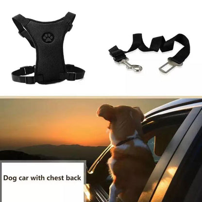 Skorter | Dog Safety Harness Set