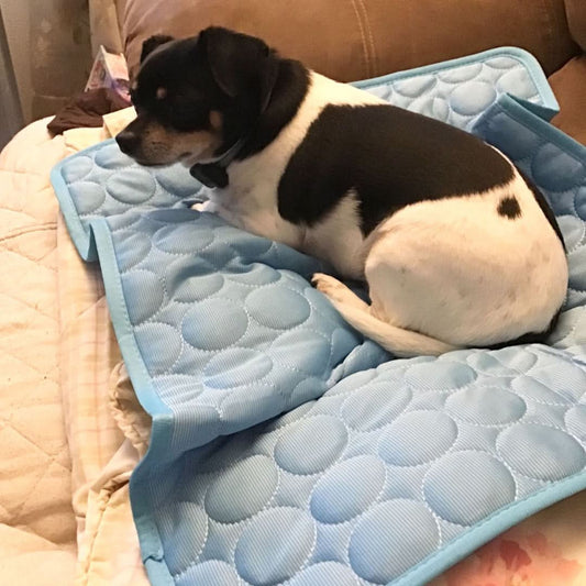 Skorter | COOLTAILS - Premium Cooling Mat