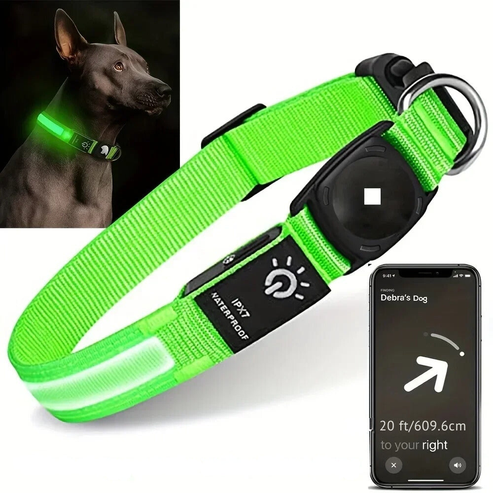 Skorter | Dog Collars – Waterproof LED Light Up Dog Collar with USB Rechargeable Glow, Dog Collars Illuminated for Night Safety, All Sizes