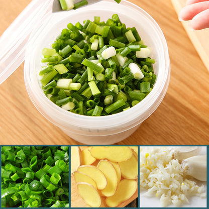 skorter | 4 In 1 Food Storage Box