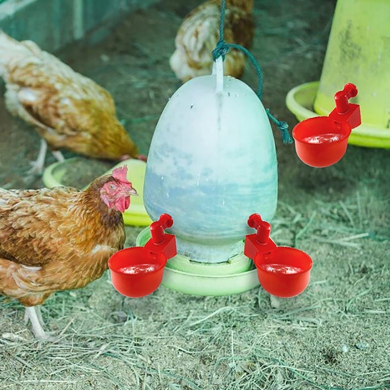 Skorter | Automatic Poultry Drinker