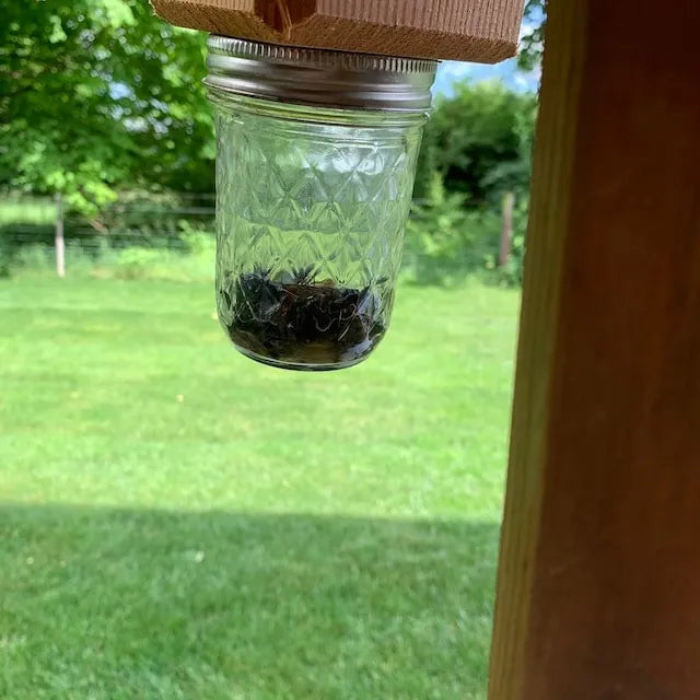 Skorter | Best Carpenter Bee Trap