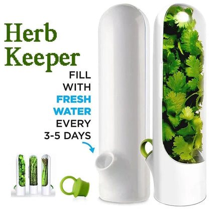 Skorter | Herb Fresh Holder