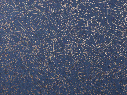 Skorter | Kharga Gobi – 74031