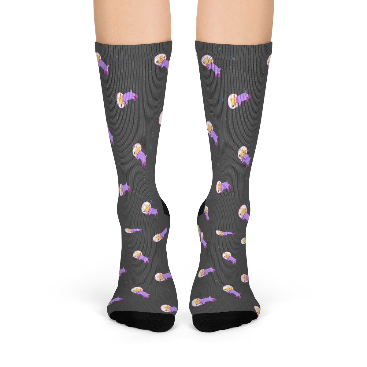 Skorter | Dog in Space Fun Socks