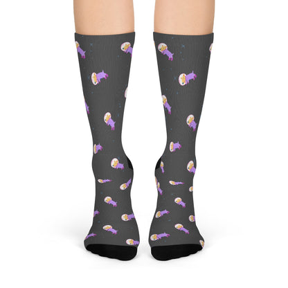 Skorter | Dog in Space Fun Socks