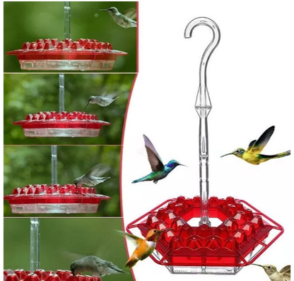 Skorter | Ant-proof Hummingbird Feeder for Outdoor Use with Hanging Perch