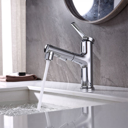 Skorter | Contemporary Single Handle Faucet Pull Out Kitchen Faucet with Lever Handle
