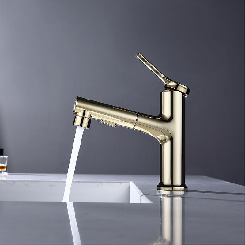 Skorter | Contemporary Single Handle Faucet Pull Out Kitchen Faucet with Lever Handle