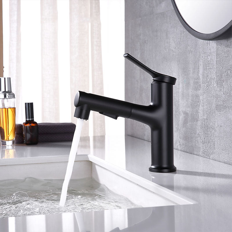 Skorter | Contemporary Single Handle Faucet Pull Out Kitchen Faucet with Lever Handle