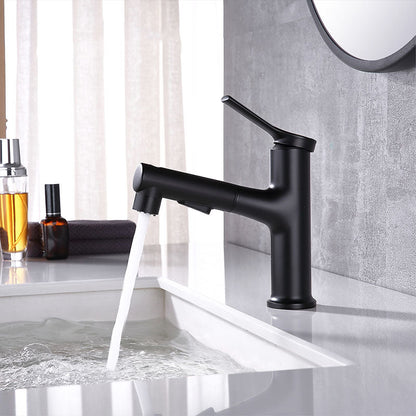 Skorter | Contemporary Single Handle Faucet Pull Out Kitchen Faucet with Lever Handle
