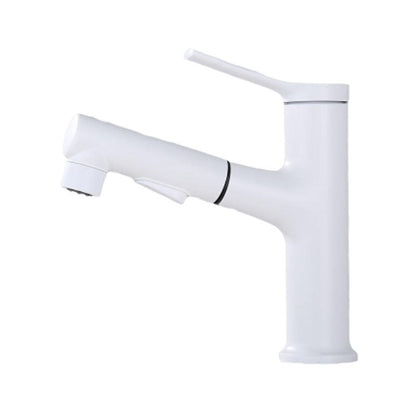 Skorter | Contemporary Single Handle Faucet Pull Out Kitchen Faucet with Lever Handle