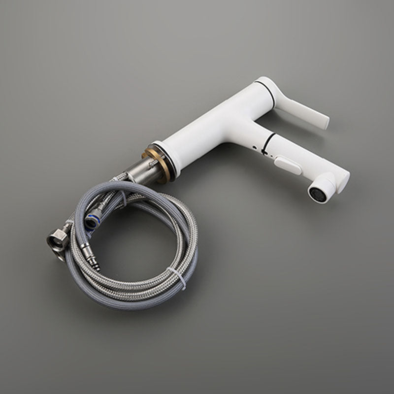 Skorter | Contemporary Single Handle Faucet Pull Out Kitchen Faucet with Lever Handle