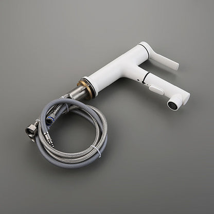 Skorter | Contemporary Single Handle Faucet Pull Out Kitchen Faucet with Lever Handle